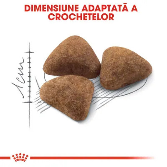 Royal Canin Indoor 27, hrana uscata pisici care stau in casa, 400 g